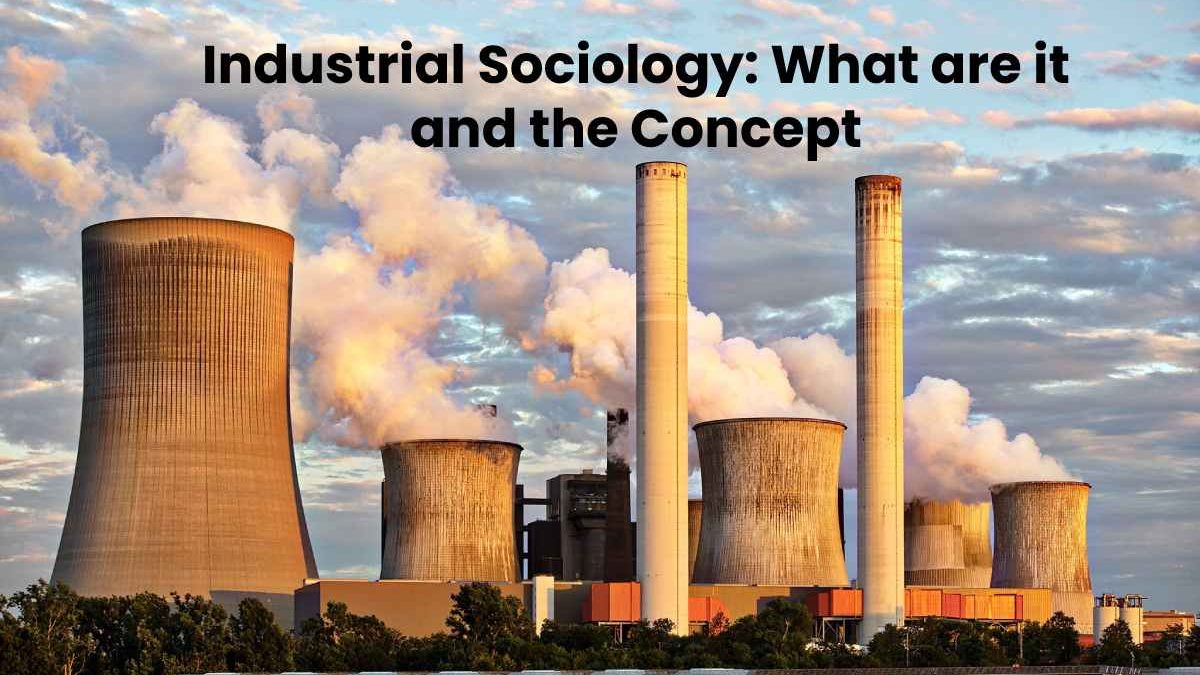 Industrial Sociology: What are it and the Concept