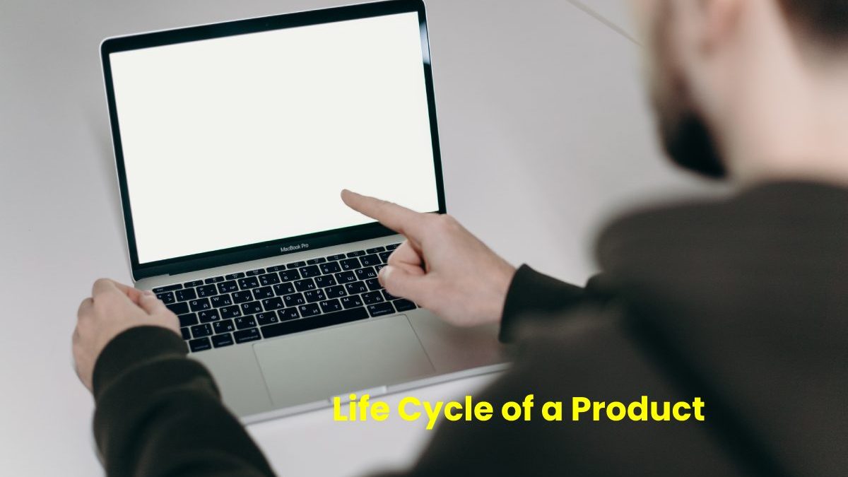 The Life Cycle of a Product