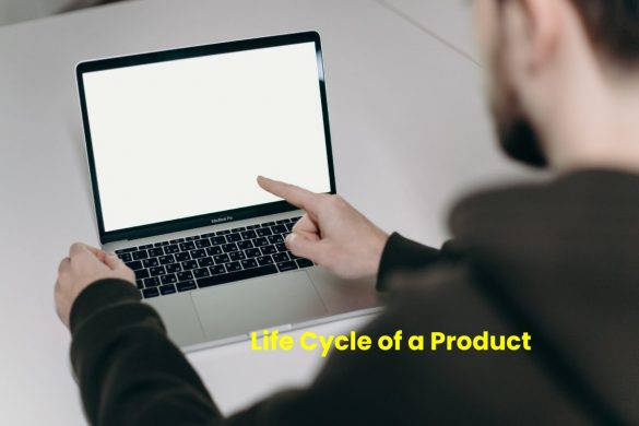 Life Cycle of a Product