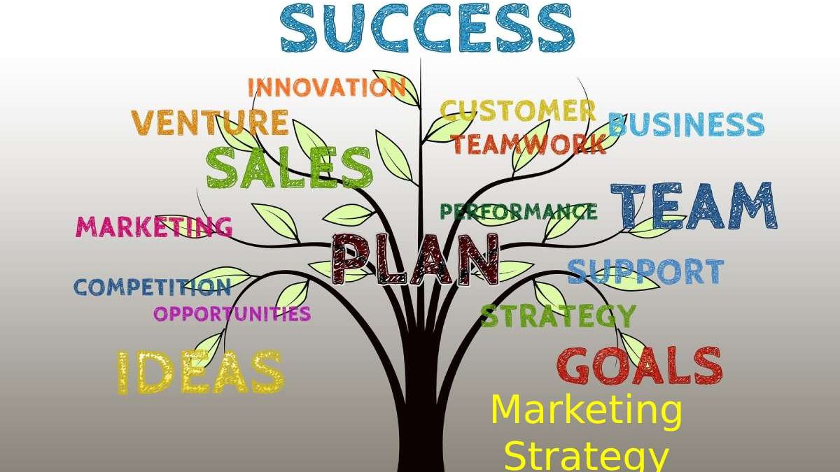 What is Marketing Strategy: Objectives and  Types