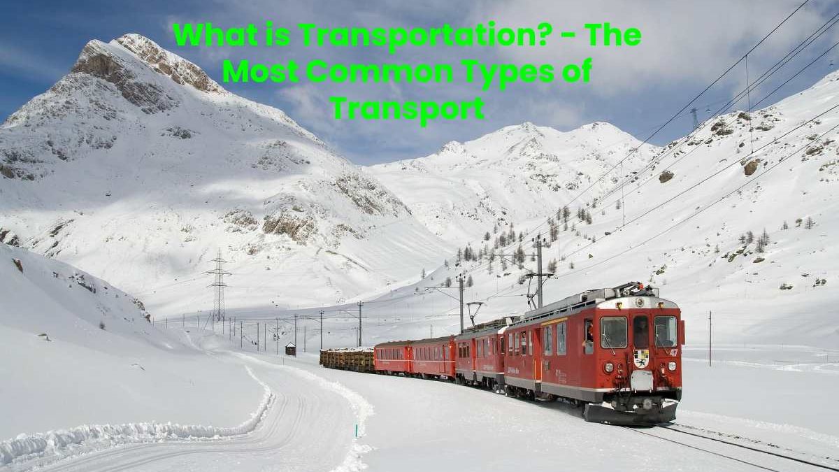 What is Transportation? – The Most Common Types of Transport