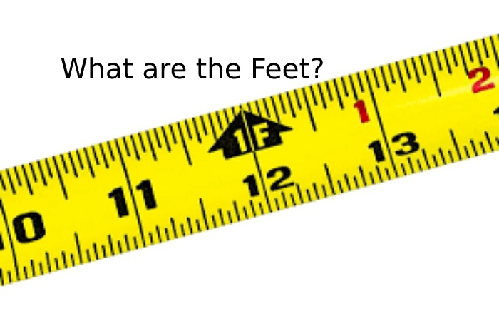 What are the Feet_