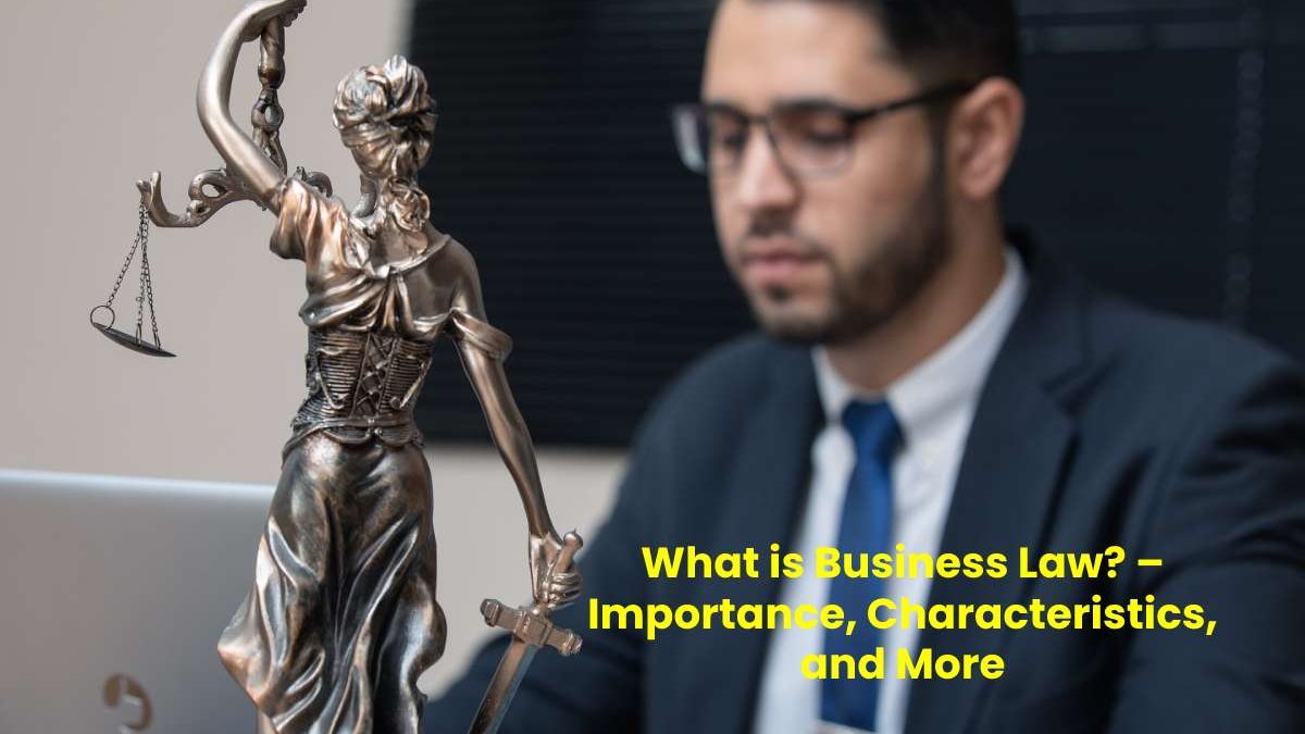 Business Law Importance, Characteristics, and More