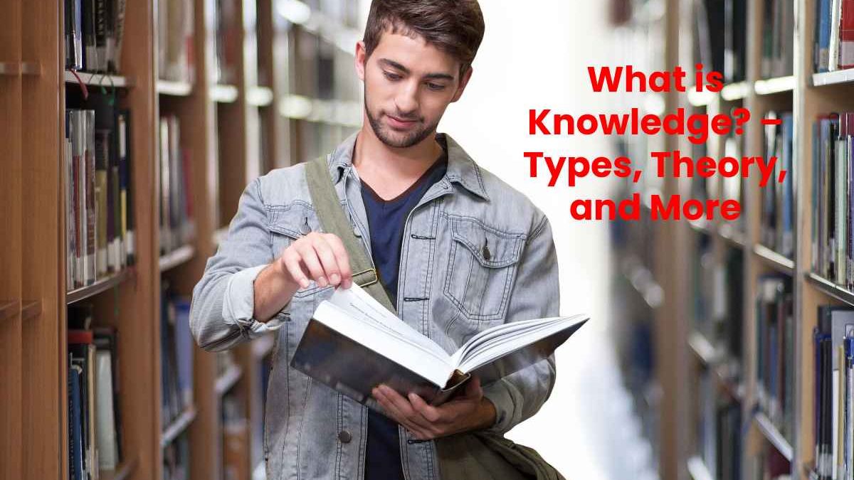 What is Knowledge? – Types, Theory, and More
