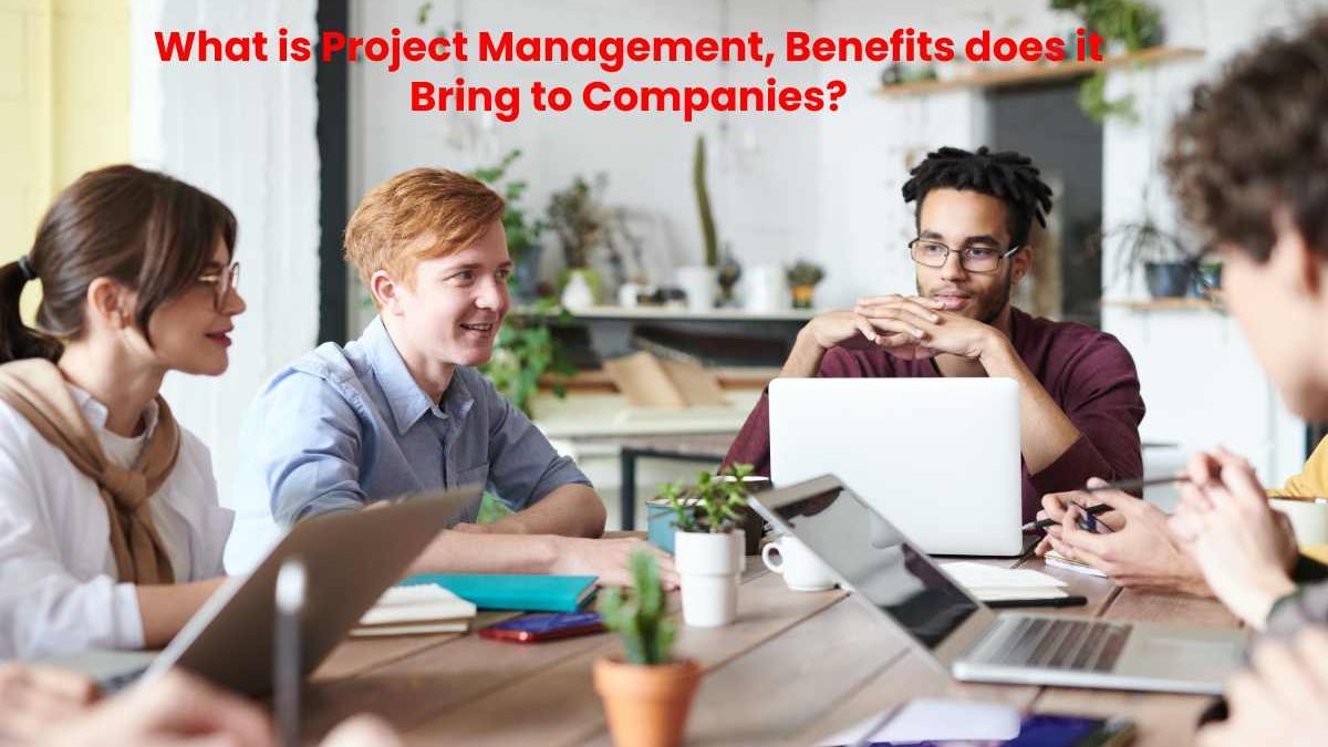 What is Project Management, Benefits does it Bring to Companies?