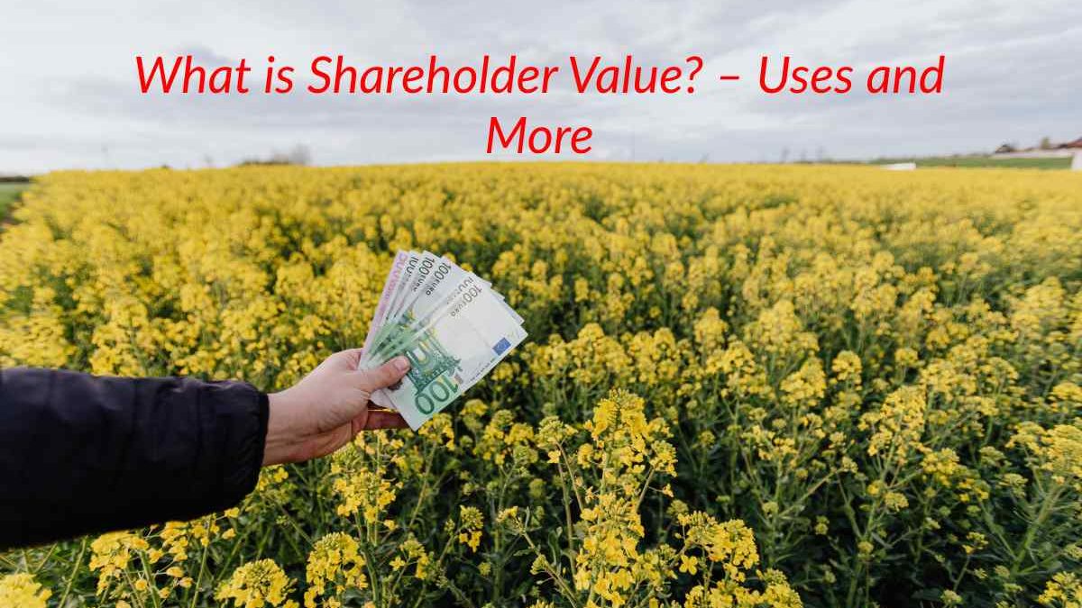 What is Shareholder Value? – Uses and More