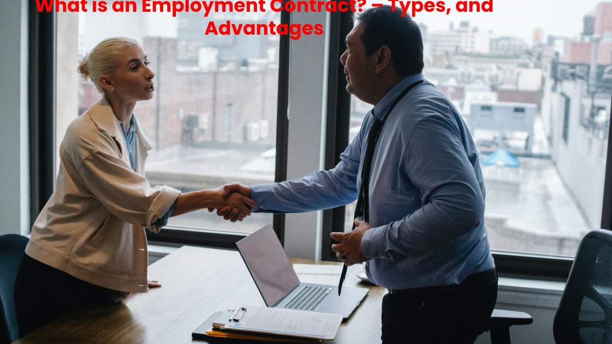 What is an Employment Contract? – Types, and Advantages