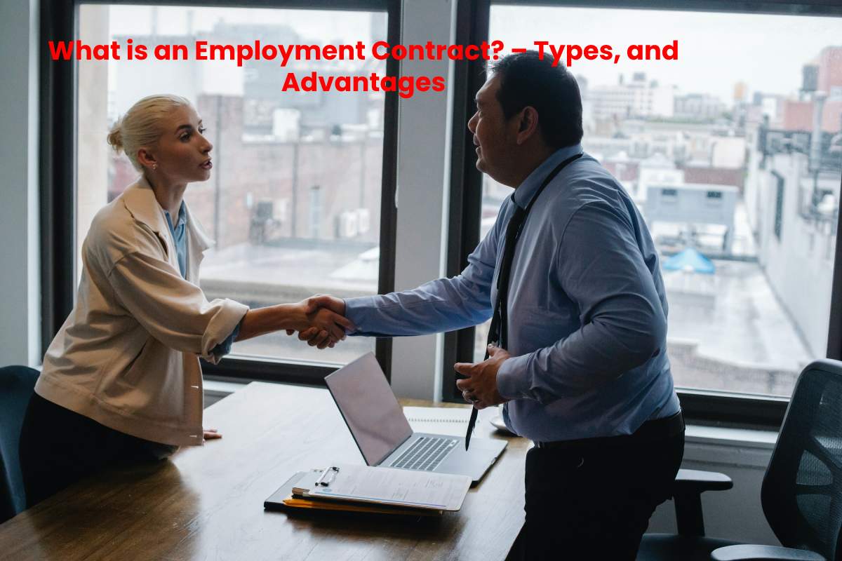 What is an Employment Contract? Types, and Advantages